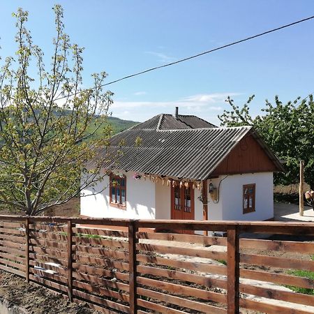 Pensiunea Turistica "Casa Rustica" Villa Chiscareni Екстериор снимка