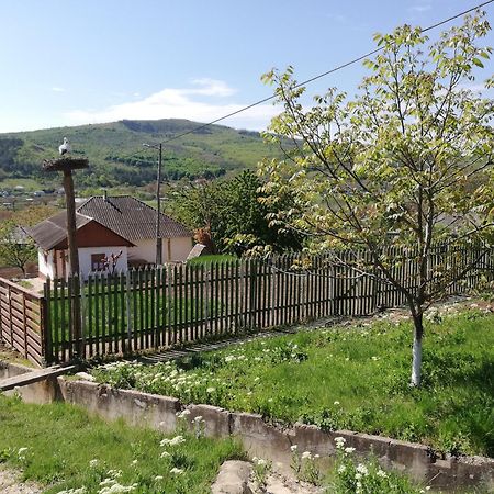 Pensiunea Turistica "Casa Rustica" Villa Chiscareni Екстериор снимка