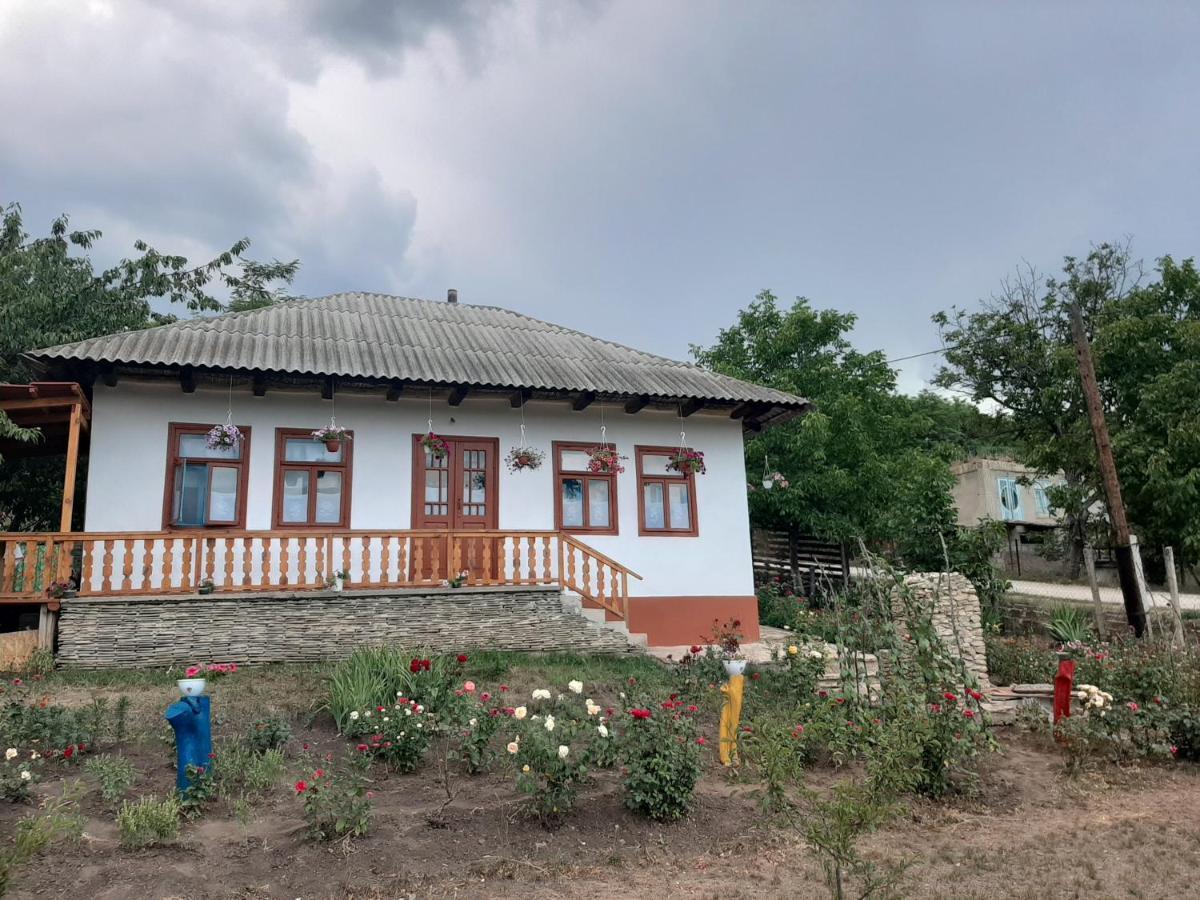 Pensiunea Turistica "Casa Rustica" Villa Chiscareni Екстериор снимка