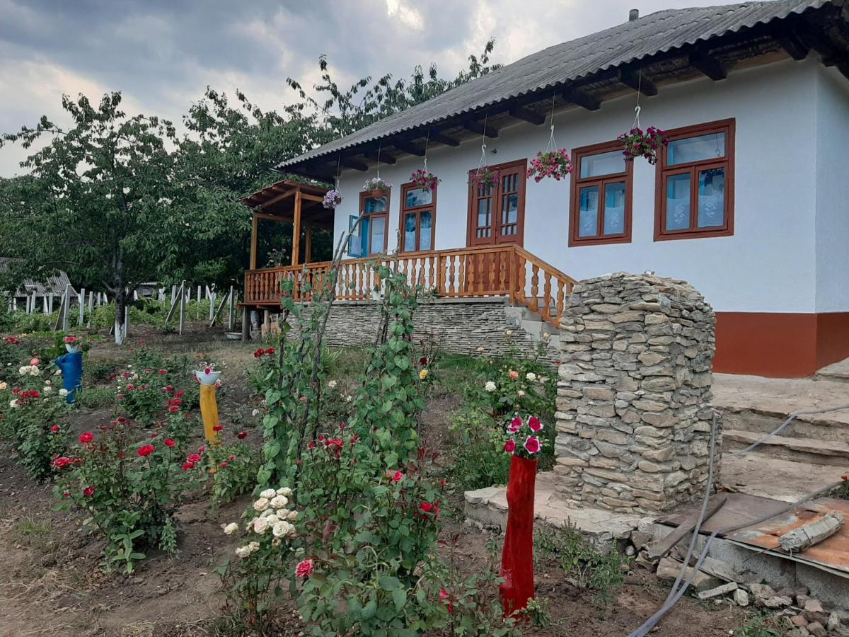 Pensiunea Turistica "Casa Rustica" Villa Chiscareni Екстериор снимка