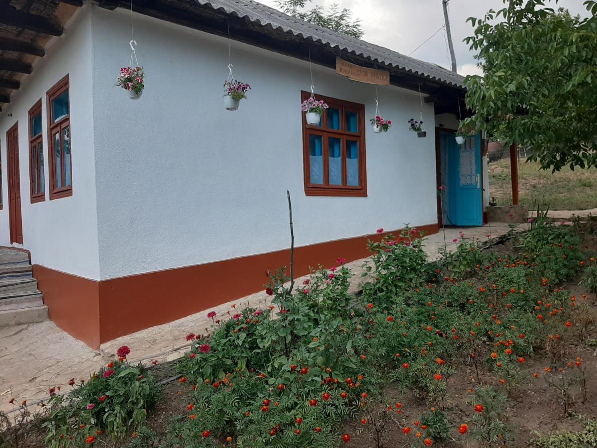 Pensiunea Turistica "Casa Rustica" Villa Chiscareni Екстериор снимка