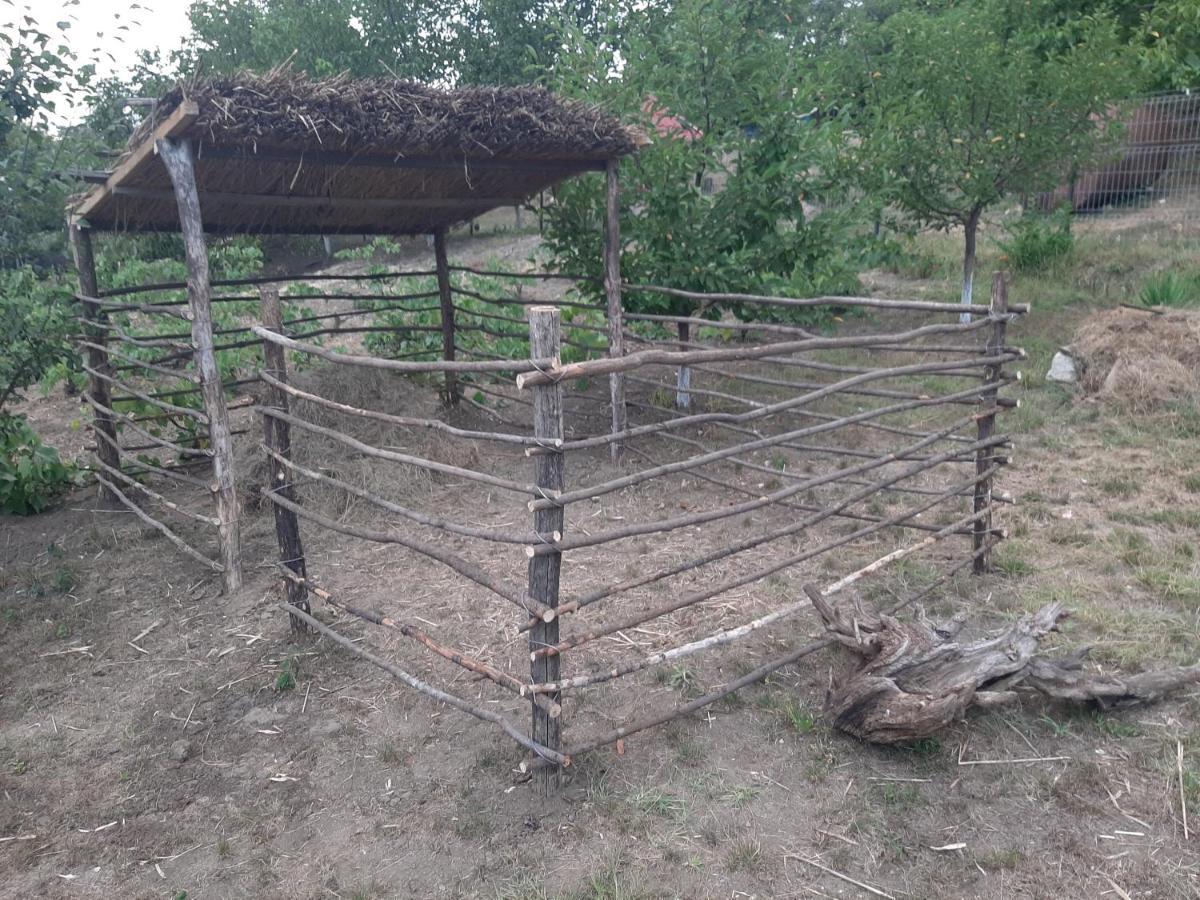 Pensiunea Turistica "Casa Rustica" Villa Chiscareni Екстериор снимка
