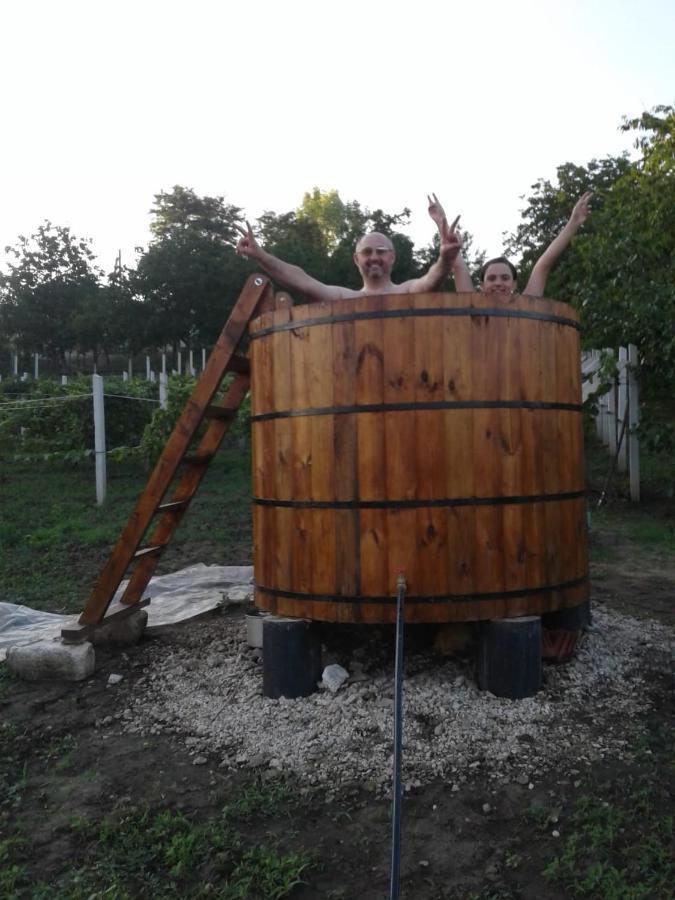 Pensiunea Turistica "Casa Rustica" Villa Chiscareni Екстериор снимка
