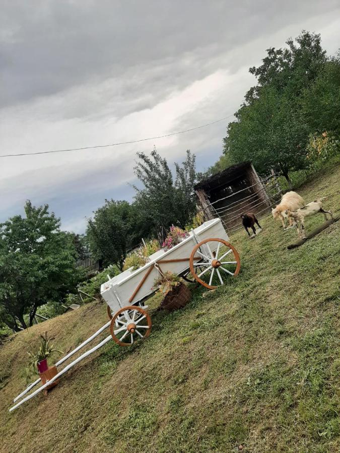 Pensiunea Turistica "Casa Rustica" Villa Chiscareni Екстериор снимка