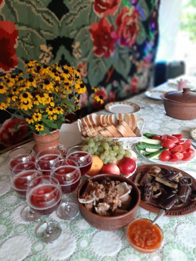 Pensiunea Turistica "Casa Rustica" Villa Chiscareni Екстериор снимка