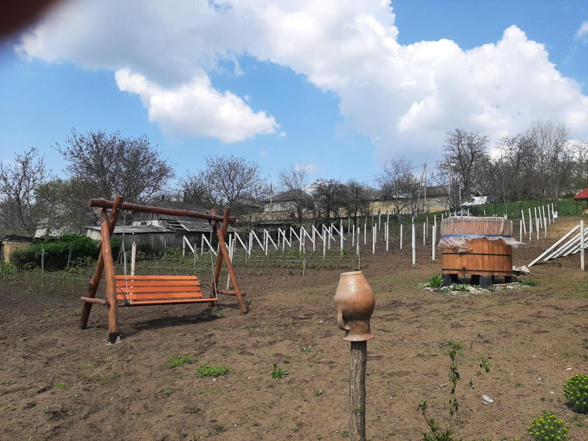 Pensiunea Turistica "Casa Rustica" Villa Chiscareni Екстериор снимка