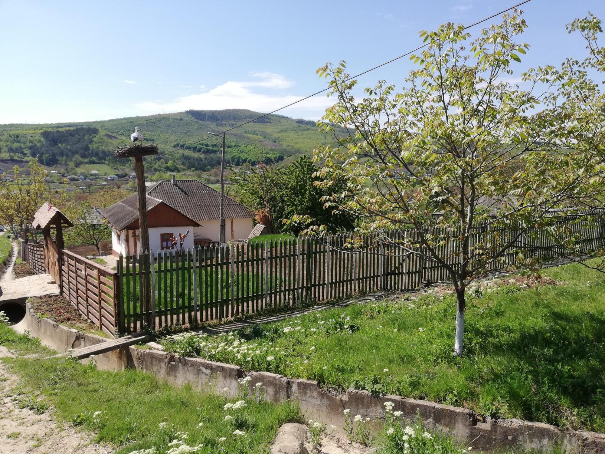 Pensiunea Turistica "Casa Rustica" Villa Chiscareni Екстериор снимка