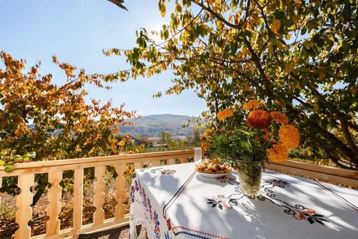 Pensiunea Turistica "Casa Rustica" Villa Chiscareni Екстериор снимка