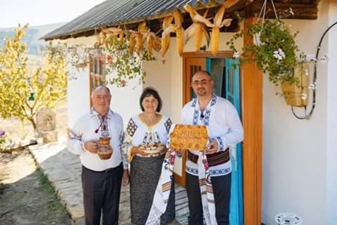 Pensiunea Turistica "Casa Rustica" Villa Chiscareni Екстериор снимка