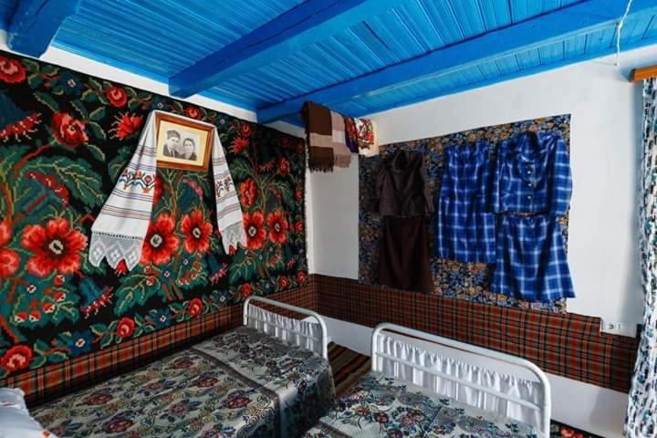 Pensiunea Turistica "Casa Rustica" Villa Chiscareni Екстериор снимка