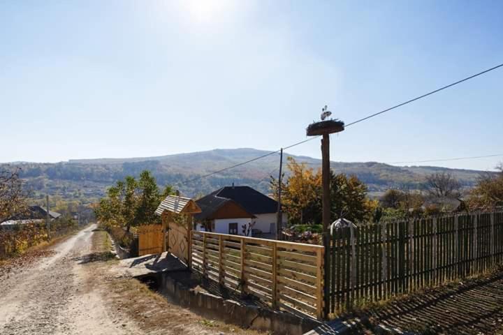 Pensiunea Turistica "Casa Rustica" Villa Chiscareni Екстериор снимка