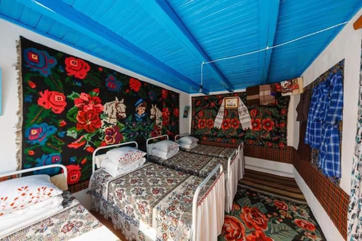 Pensiunea Turistica "Casa Rustica" Villa Chiscareni Екстериор снимка