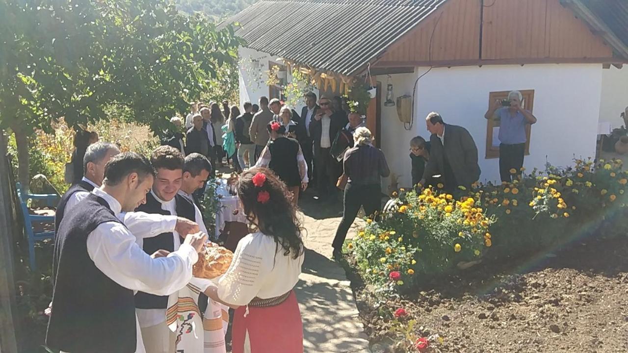 Pensiunea Turistica "Casa Rustica" Villa Chiscareni Екстериор снимка
