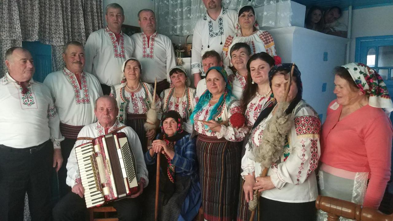 Pensiunea Turistica "Casa Rustica" Villa Chiscareni Екстериор снимка