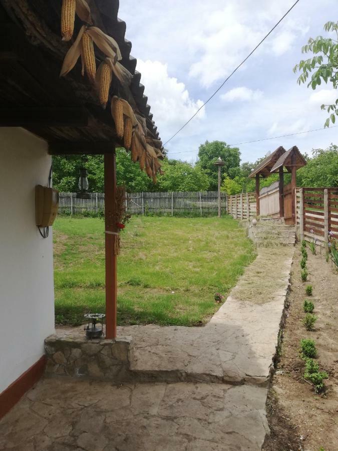 Pensiunea Turistica "Casa Rustica" Villa Chiscareni Екстериор снимка