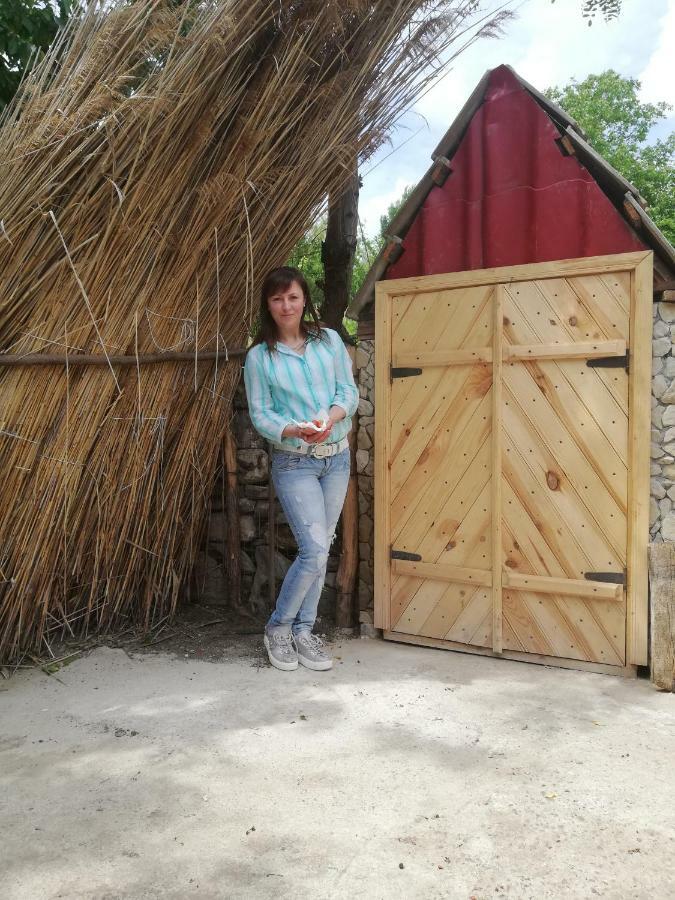 Pensiunea Turistica "Casa Rustica" Villa Chiscareni Екстериор снимка