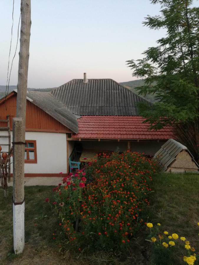 Pensiunea Turistica "Casa Rustica" Villa Chiscareni Екстериор снимка