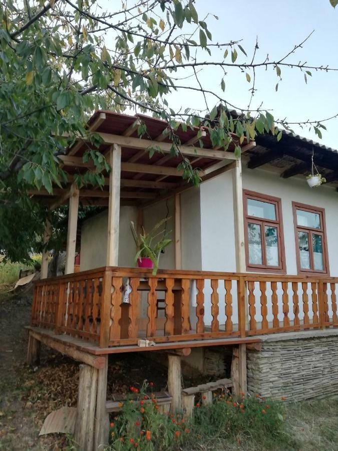 Pensiunea Turistica "Casa Rustica" Villa Chiscareni Екстериор снимка