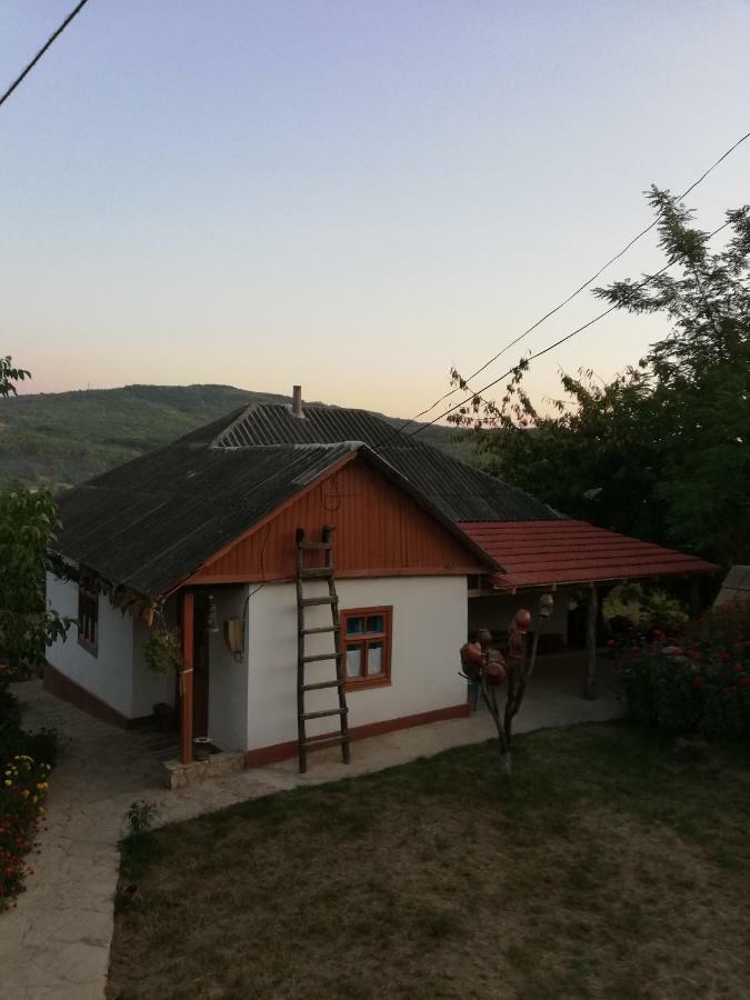 Pensiunea Turistica "Casa Rustica" Villa Chiscareni Екстериор снимка