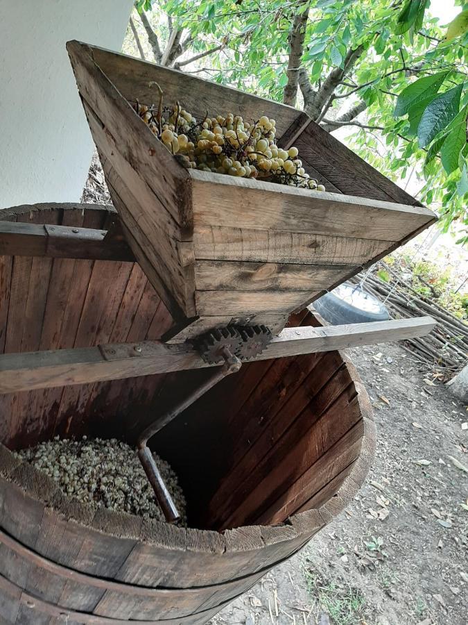 Pensiunea Turistica "Casa Rustica" Villa Chiscareni Екстериор снимка